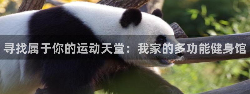 BWIN体育官网下载平台注册流程图：寻找属于你的运动天堂：我