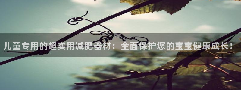 BWIN体育官网下载软件：儿童专用的超实用减肥器材：