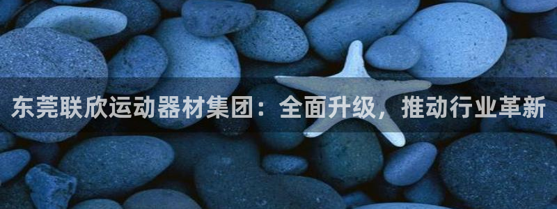 BWIN体育官方正版app娱乐首页网站大全：东莞联欣运动器材