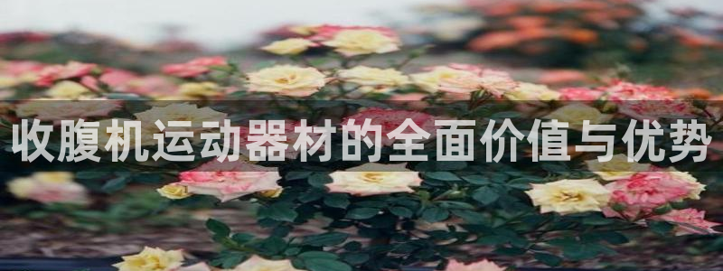 BWIN体育官方正版app娱乐网站：收腹机运动器材的全面价值