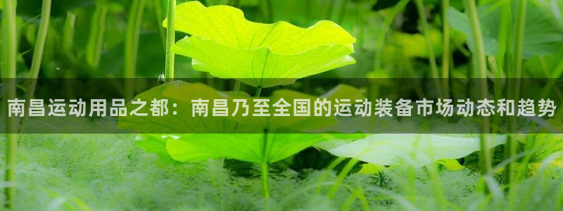 BWIN体育官网下载平台：南昌运动用品之都：南昌乃至