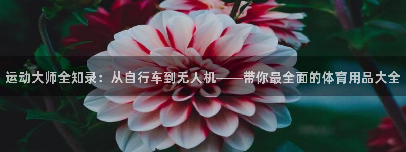 BWIN体育官方正版app集团简介：运动大师全知录：从自行车