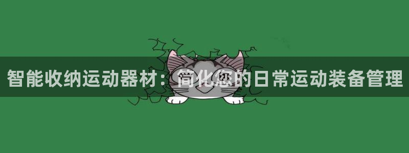 BWIN体育官方正版app娱乐首页官网下载：智能收纳运动器材
