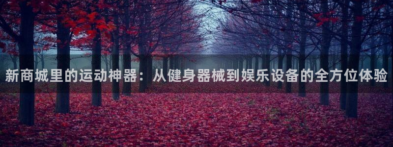 BWIN体育官方正版app娱乐代理怎么样：新商城里的运动神器