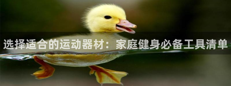 BWIN体育官网下载招商电话号码：选择适合的运动器材：家庭健