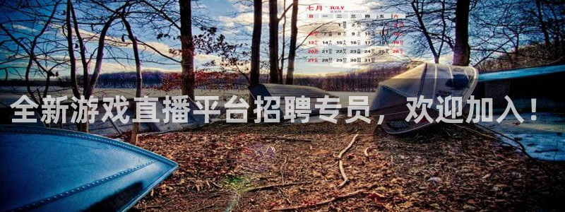 360度无插件体育直播网：全新游戏直播平台招聘专员，欢迎加入！