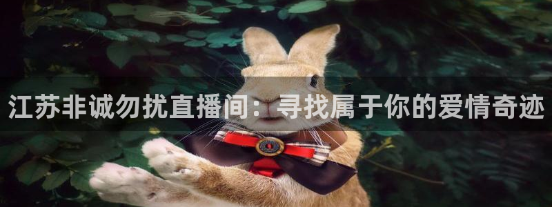 360直播体育赛事直播篮球：江苏非诚勿扰直播间：寻找属于你的爱情奇迹