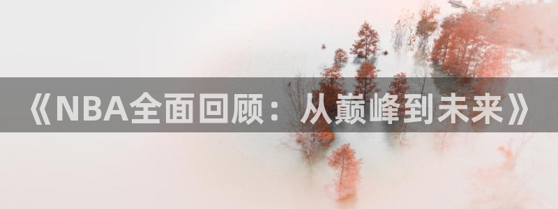 雨燕360体育直播篮球直播：《NBA全面回顾：从巅峰到未来》