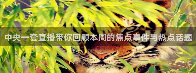360直播体育赛事直播nba：中央一套直播带你回顾本周的焦点事件与热点话题