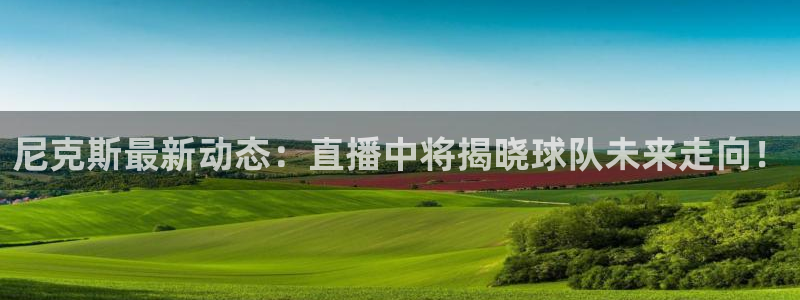 360直播体育赛事直播篮球：尼克斯最新动态：直播中将揭晓球队未来走向！