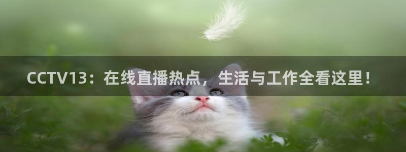 360直播无插件nba直播：CCTV13：在线直播热点，生活与工作全看这里！
