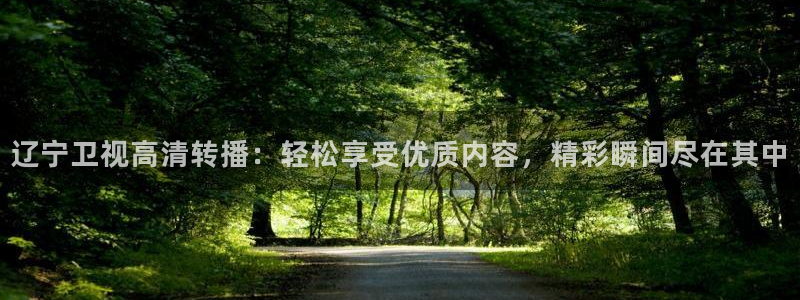 360足球直播在线观看免费高清：辽宁卫视高清转播：轻松享受优质内容，精彩瞬间尽在其中