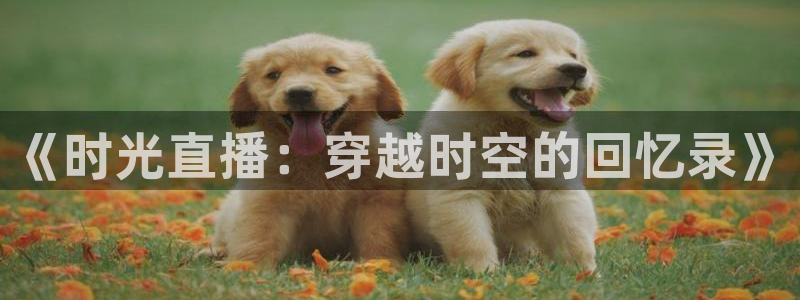 足球直播360吧：《时光直播：穿越时空的回忆录》