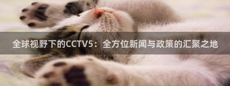 360直播体育在线直播：全球视野下的CCTV5：全方位新闻与政策的汇聚之地